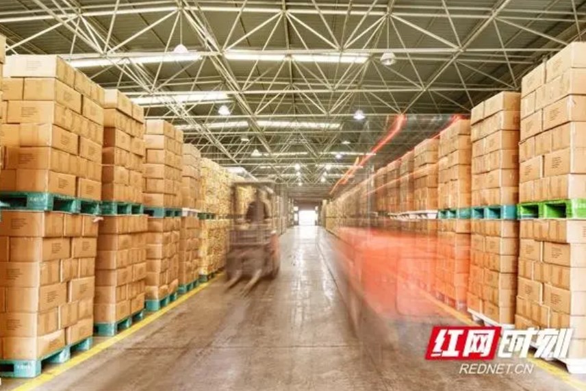 一卷墨香伴春光 長(zhǎng)沙“印”象精彩紛呈